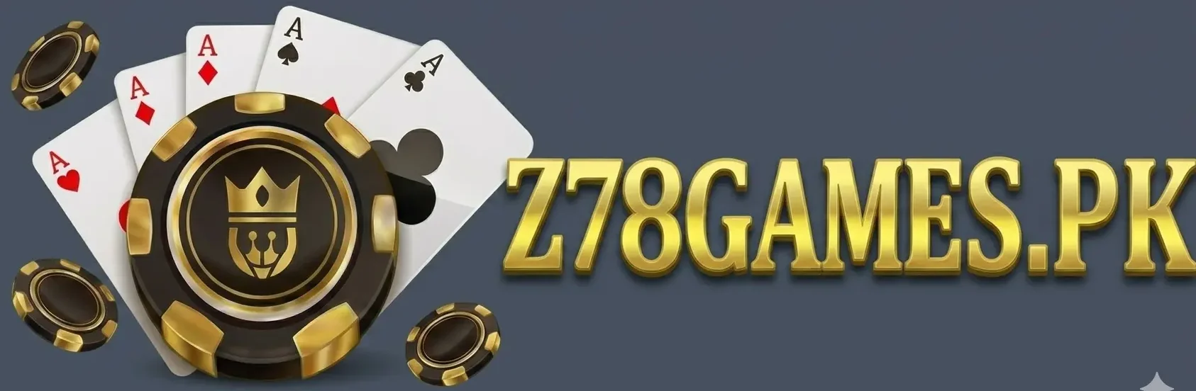 Z& game logo